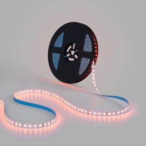 Tira LED 48V DC - RGBWW - 12W/m - 10mm - IP20 - 10 metros - 90ch/m (9)