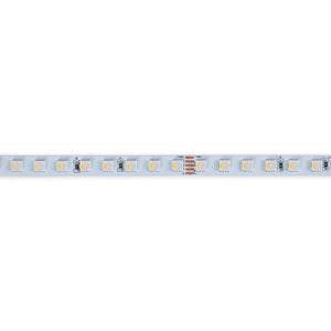 Tira LED 48V DC - RGBWW - 12W/m - 10mm - IP20 - 10 metros - 90ch/m (19)