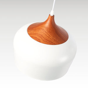 Lampara colgante nórdica "Hollies" - Metal - E27 (14)