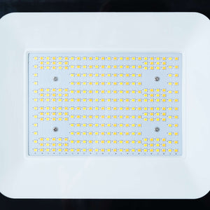 Proyector LED exterior 100W CCT - Serie "PRO" - 110lm/W - IP66 (12)