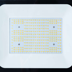 Proyector LED exterior 100W CCT - Serie "PRO" - 110lm/W - IP66 (12)