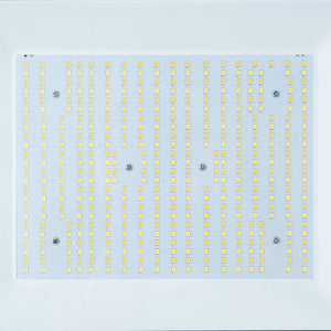 Proyector LED exterior 150W CCT - Serie "PRO" - 110lm/W - IP66 (6)