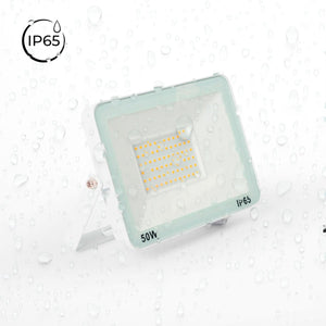 Proyector LED exterior 50W - 95lm/W - IP65 - Blanco (1)