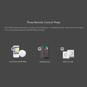 Controlador Monocolor / CCT / RGB 12-24V DC - 3 canales - 4A/canal - RF 2.4GHz - Skydance (9)