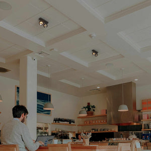 Foco de techo doble orientable "IRIS" + 2 bombillas AR111 GU10 (5)