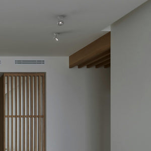 Foco de techo orientable "IRIS" + Bombilla AR111 GU10 (6)