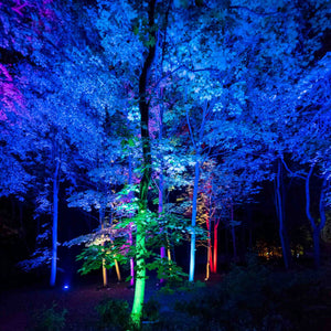 Baliza LED exterior suelo 18W - 12V DC - IP67 - Ø15cm -30º - RGB/3000K (4)