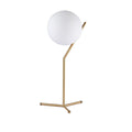 Boule de verre opale de remplacement - Ø220mm 3
