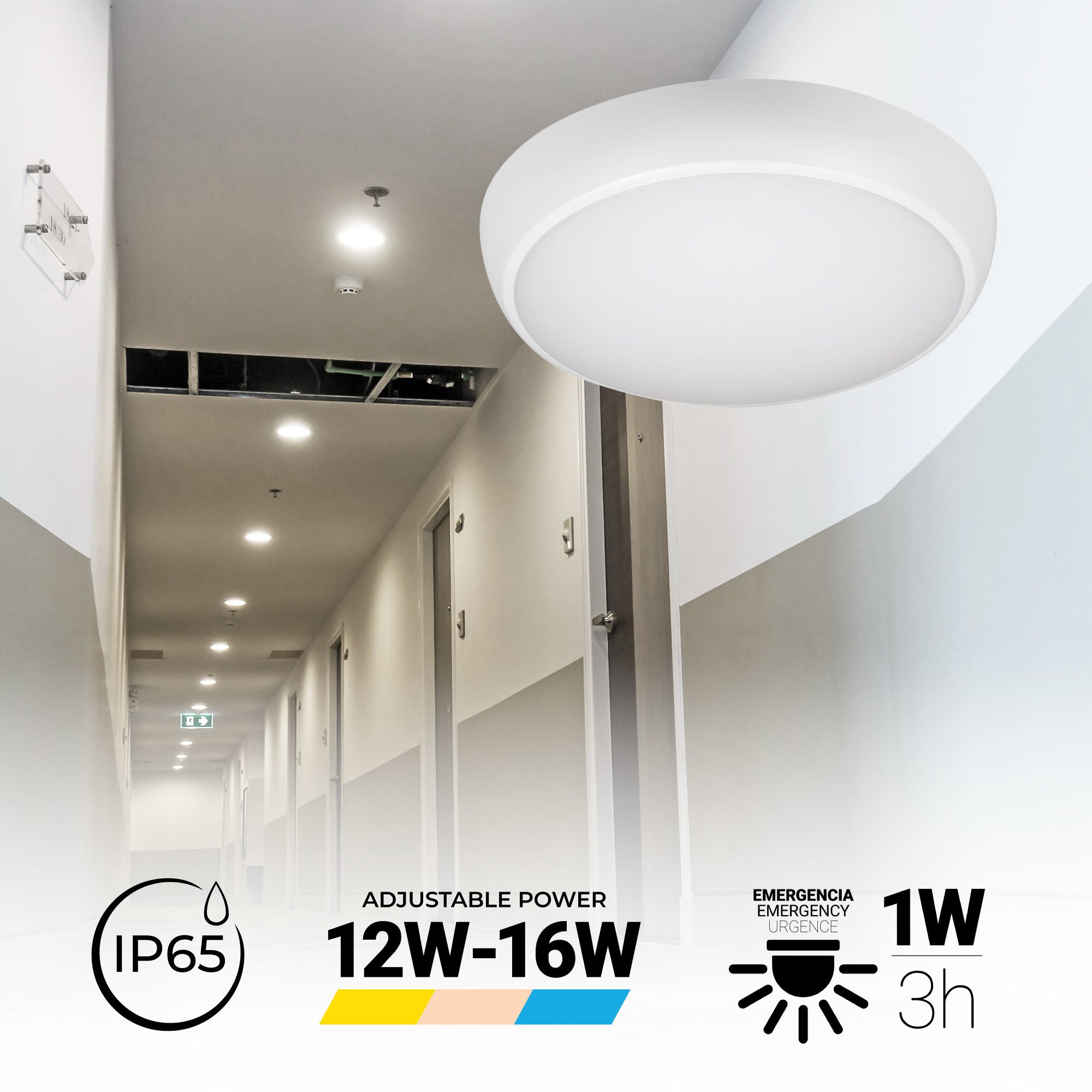 Plafón LED techo estanco / Luz de emergencia - CCT - Potencia ajustable 12W-16W - Ø31cm - IP65 (1)