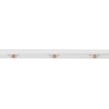 COB LED Strip 24V DC - CCT - Side emission - 12W/m - 10mm - IP20 - 5cm cut - 5-meters-roll 5