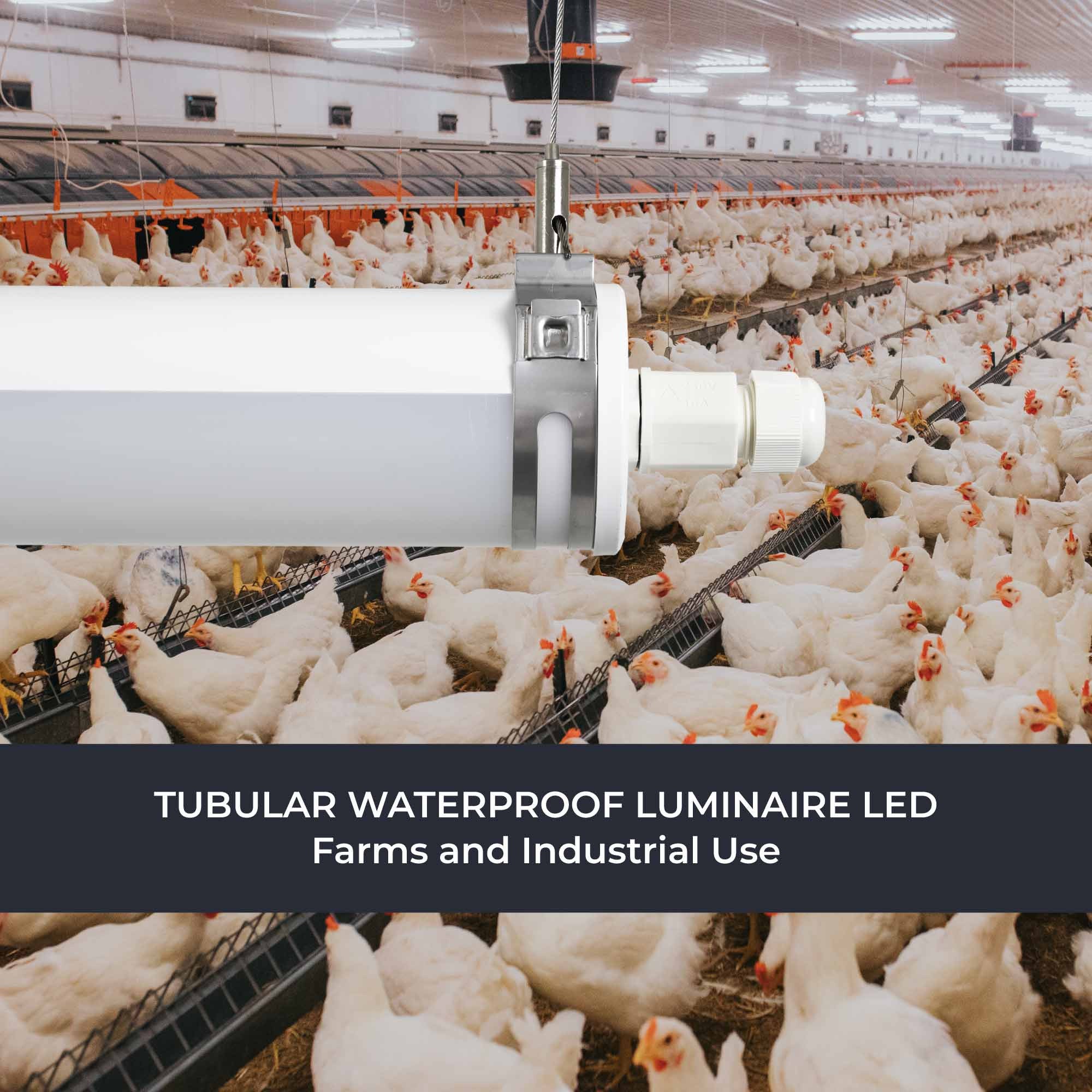 Luminaria estanca tubular para uso industrial - 150cm - 60W - 6900lm - IP65 - IK10 (1)