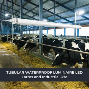 Luminaria estanca tubular para uso industrial - 150cm - 50W - 6900lm - IP65 - IK10 - Barcelona Led-