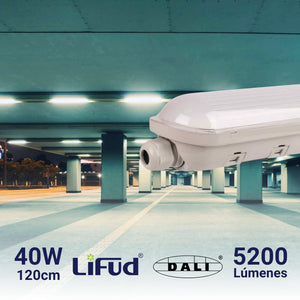 Pantalla estanca LED lineal enlazable Regulable DALI - CCT - 120cm - 40W - DALI - Driver LIFUD - IP65 (1)