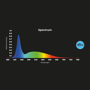 Proyector LED para carril trifásico 40W - Pescados y Mariscos - Driver Philips Xitanium (31)