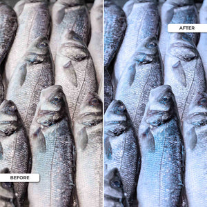 Proyector LED para carril trifásico 40W - Pescados y Mariscos - Driver Philips Xitanium (34)