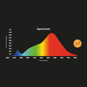 Proyector LED para carril monofásico 40W - Panaderías (19)