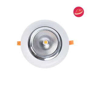 Downlight LED especial para carnicerías - 40W - Driver Philips - Corte Ø210 mm