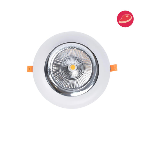LED-Einbauleuchte speziell für Fleischereien - 40W - Philips Treiber - Ausschnitt Ø210 mm
