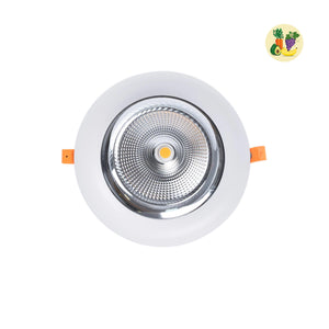 Downlight LED especial para frutas y verduras - 40W - Driver Philips - Corte Ø210 mm