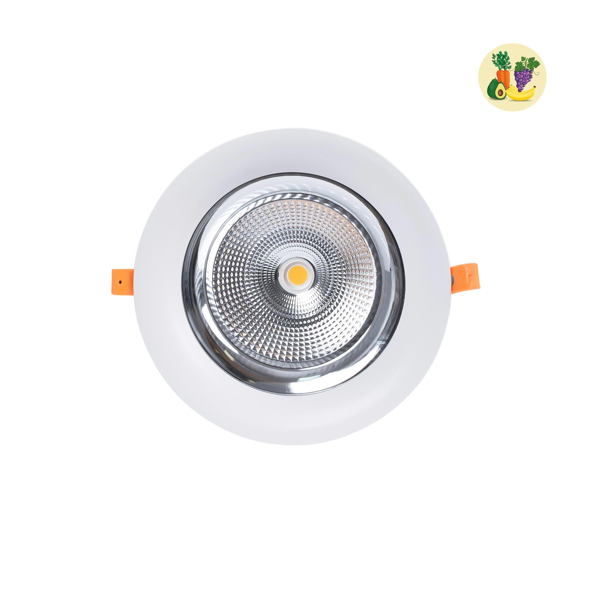 Downlight LED especial para frutas y verduras - 40W - Driver Philips - Corte Ø210 mm