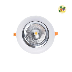 Downlight LED especial para frutas y verduras - 40W - Driver Philips - Corte Ø210 mm - Barcelona Led-