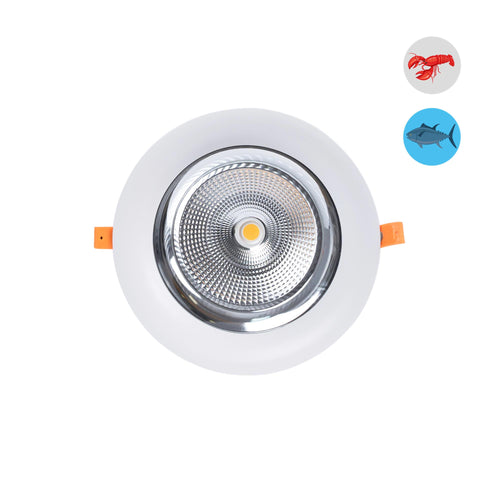 Downlight LED specjalny do rybnych - 40W - Zasilacz Philips - Wycięcie Ø210 mm