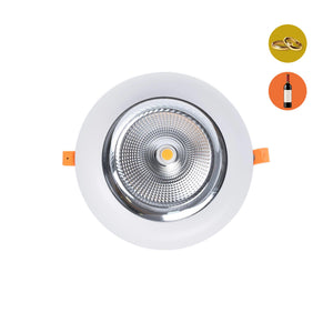 Downlight LED especial para tiendas de oro y vino - 40W - Driver Philips - Corte Ø210 mm