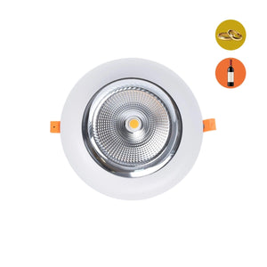 Downlight LED especial para tiendas de oro y vino - 40W - Driver Philips - Corte Ø210 mm