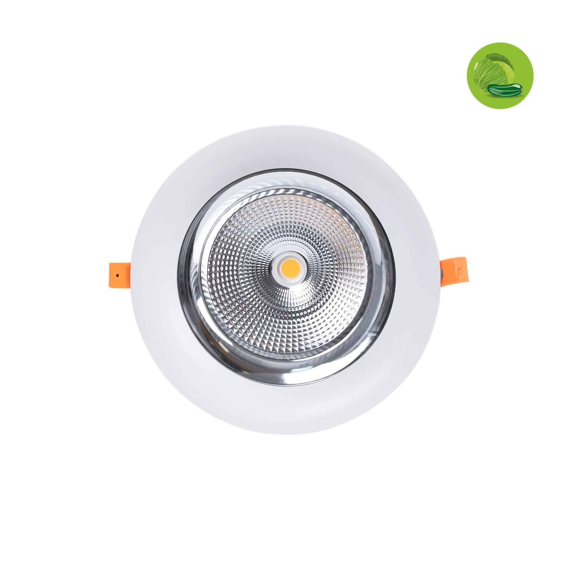 Downlight LED especial para verdulerías - 40W - Driver Philips - Corte Ø210 mm