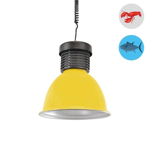 Okap LED 30W specjalny do ryb i owoców morza