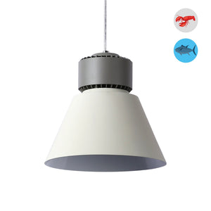 Campana LED 36W especial para pescados y mariscos - Driver KeGu (35)