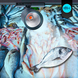 Proyector LED para carril trifásico 40W - Pescados y Mariscos - Driver Philips Xitanium - Barcelona Led-