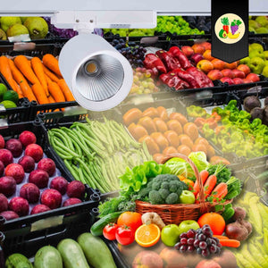 Proyector LED para carril monofásico 40W - Fruterías y verdulerías - Barcelona Led-