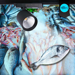 Proyector LED para carril monofásico 40W - Pescados y Mariscos - Barcelona Led-