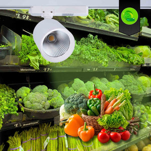 Proyector LED para carril monofásico - Verdulerías - 40W - Barcelona Led-