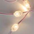 Modulo LED monocolore per insegne luminose - 0,5W - 12V DC - IP66 - 170º 2