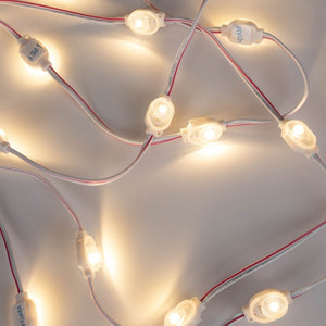 Módulo LED monocolor para rótulos - 0.5W - 12V DC - IP66 - 170º - Barcelona Led-
