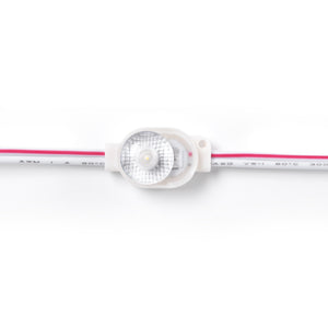 Módulo LED monocolor para rótulos - 0.5W - 12V DC - IP66 - 170º (3)
