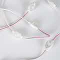 Modulo LED monocolore per insegne luminose - 0,5W - 12V DC - IP66 - 170º 5