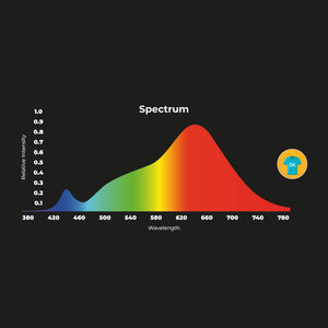 Proyector LED para carril monofásico 40W - Moda y retail (32)