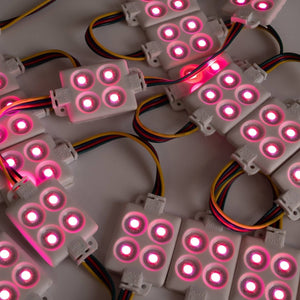 Módulo LED cuadrado para rótulos RGB - 0.96W - 12V DC - IP65 - 120º (6)