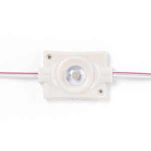 Módulos LED monocolor para rótulos - 3W - 12V - IP65 - 160º