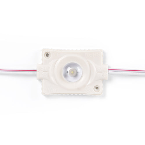 Einfarbige LED-Module für Beschilderung - 3W - 12V - IP65 - 160º