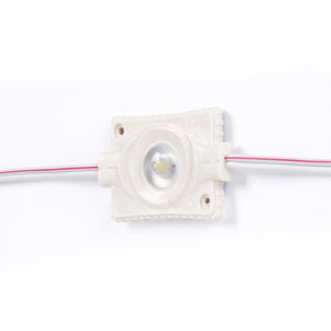 Módulos LED monocolor para rótulos - 3W - 12V - IP65 - 160º (2)