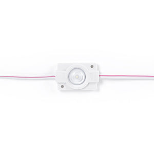 Módulos LED monocolor para rótulos - 1,5W - 12V - IP65 - 160º
