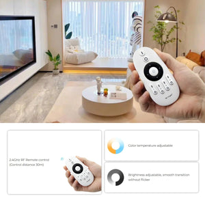 Controlador tira LED 2 en 1- Monocolor - CCT - 12/24V DC - 2.4GHz - Mi Boxer - E2-RF - Barcelona Led-Control y regulación