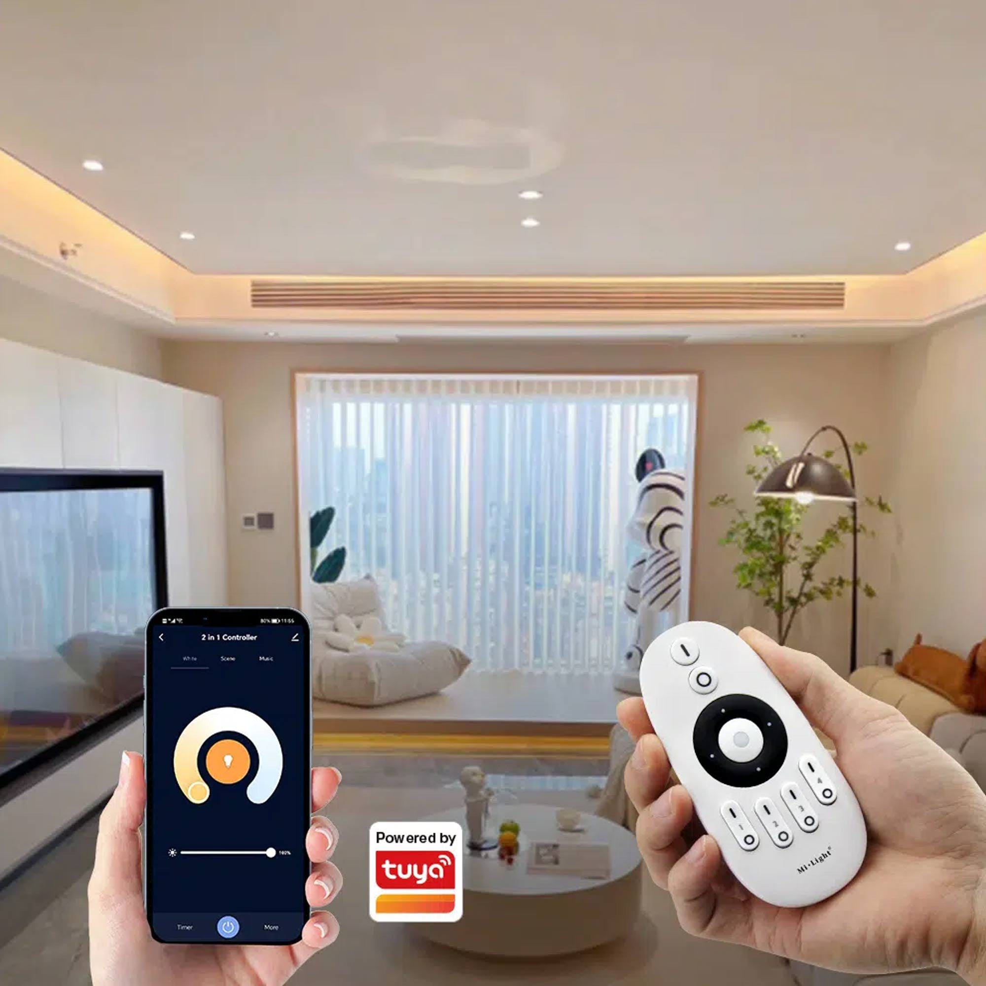Controlador tira LED 2 en 1- Monocolor - CCT - 12/24V DC - 2.4GHz+ WiFi - Mi Boxer - E2-WR (1)