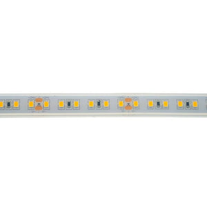 Tira LED 24V DC - Monocolor - 18W/m - 12mm - IP67 - 5 metros - 120ch/m - Barcelona Led-