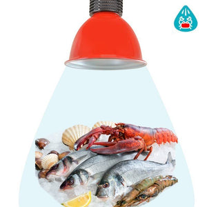 Campana LED 30W especial para pescado y marisco - Barcelona Led-