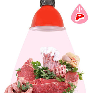 Campana LED 30W especial para carnicerías - Barcelona Led-